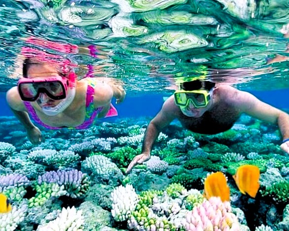Blue Lagoon with colorful coral reefs and tropical fish for snorkeling in Zanzibar