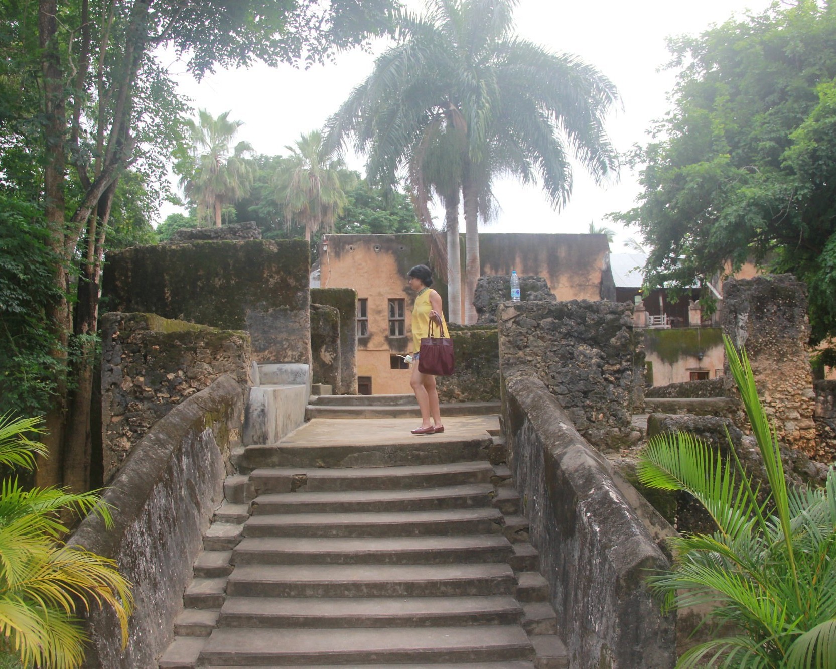 Image of historical ruins in Zanzibar