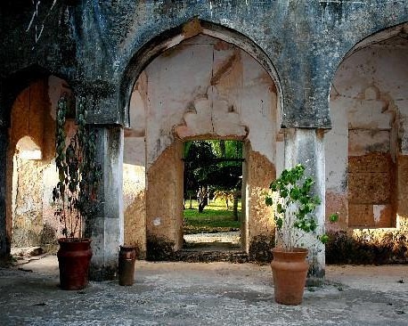 Image of historical ruins in Zanzibar