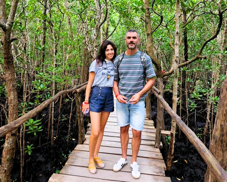 Jozani Forest with red colobus monkeys and mangrove biodiversity in Zanzibar