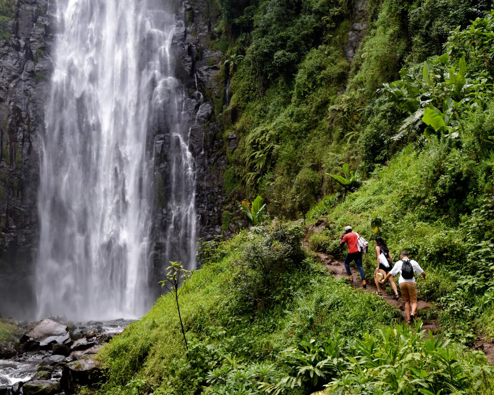 Hiking trail through lush rainforest leading to Materuni Waterfalls