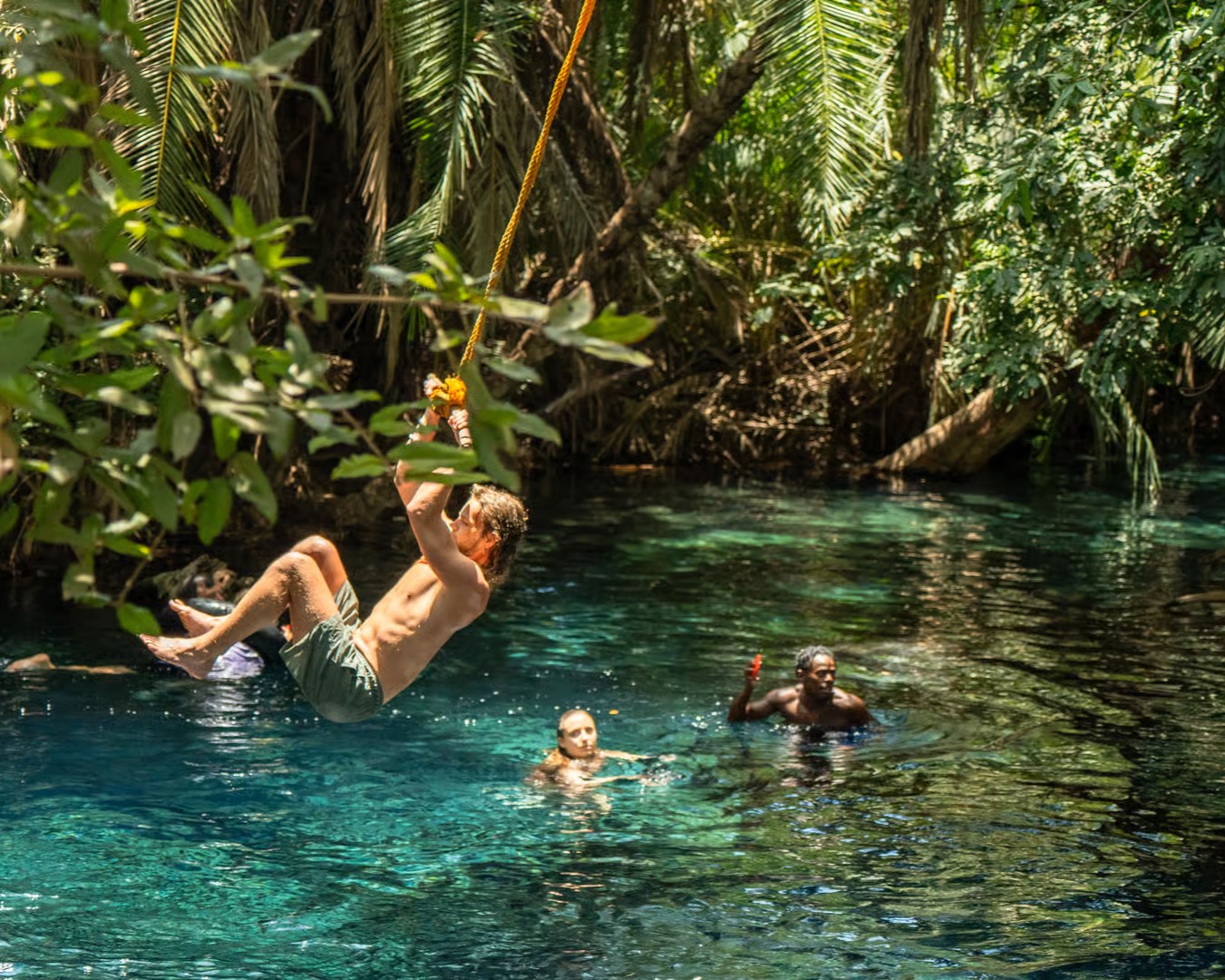 Natural beauty and biodiversity around Materuni Waterfalls