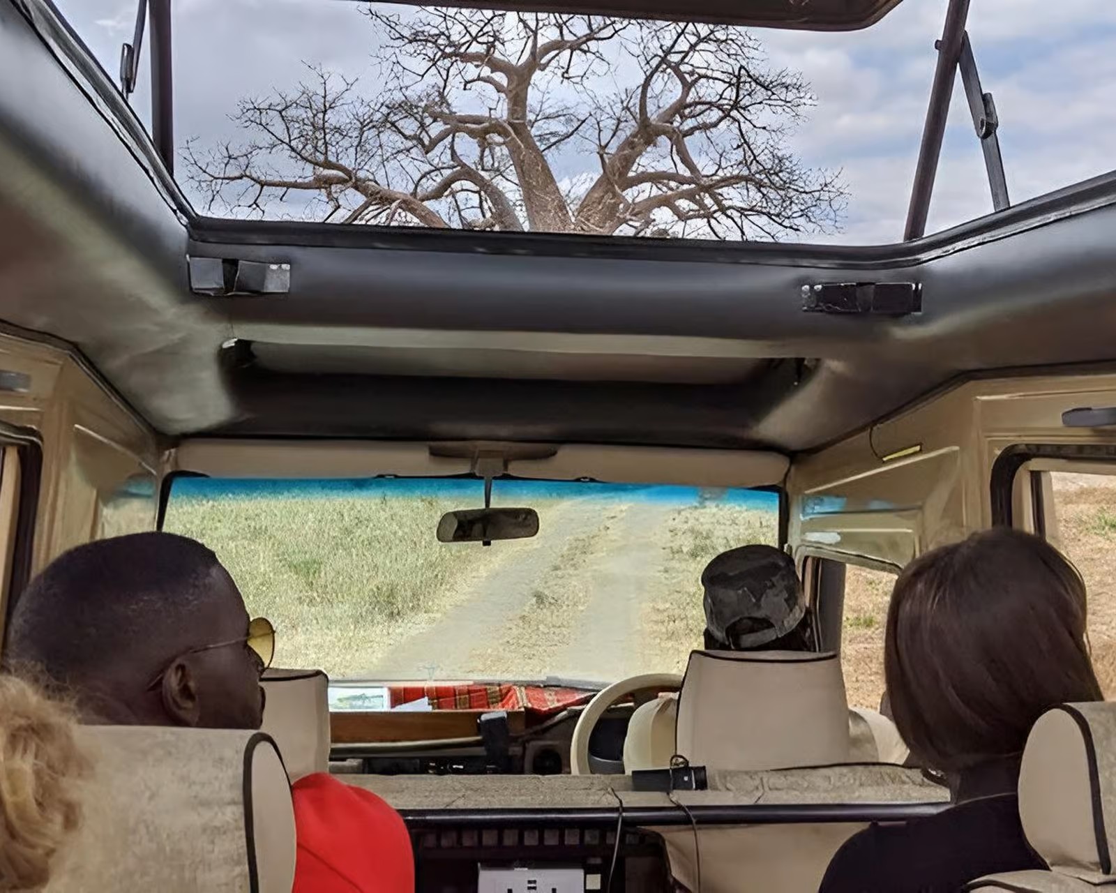 Majestic view of Ngorongoro Crater floor showcasing rhinos and zebras