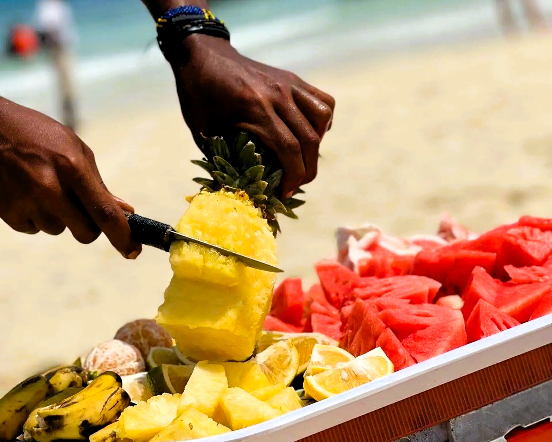 Zanzibar Tours Gallery | Pasqualino Safari Image