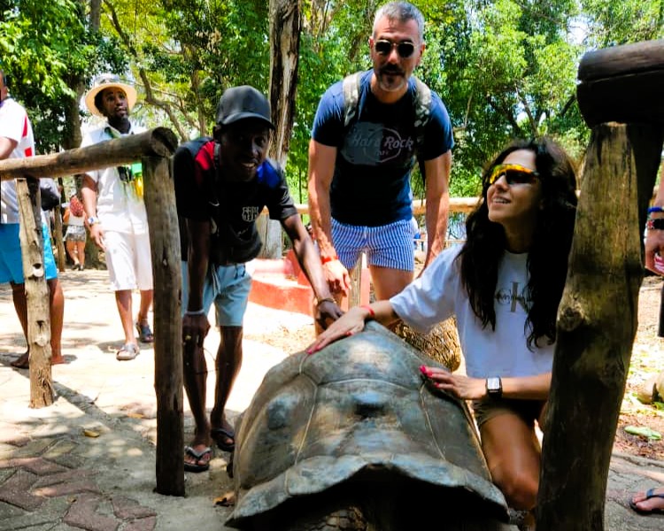 Giant tortoise basking on Prison Island beach