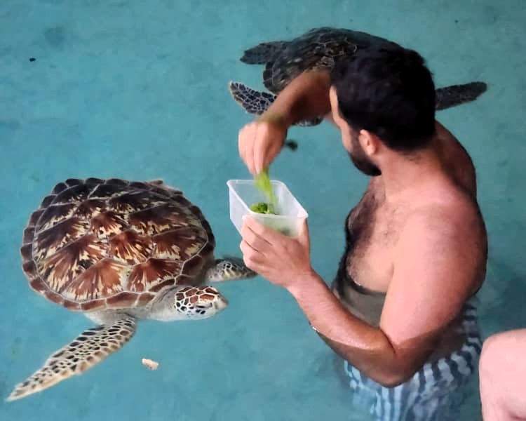 Zanzibar Tours Gallery | Pasqualino Safari Image