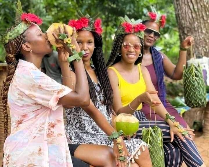 Lush spice plantations in Zanzibar showcasing cinnamon trees and cloves