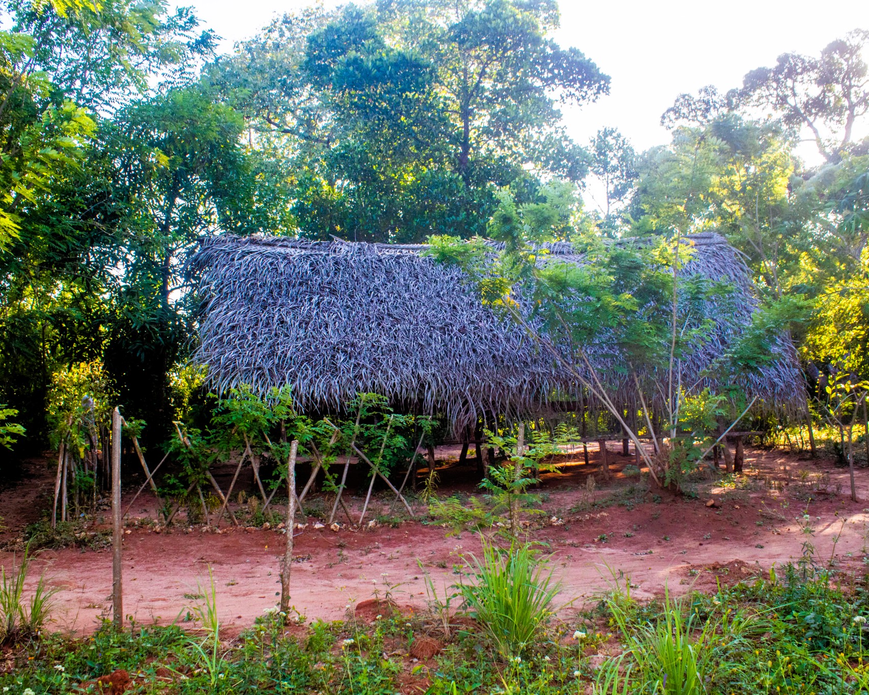 Zanzibar Tours Gallery | Pasqualino Safari Image