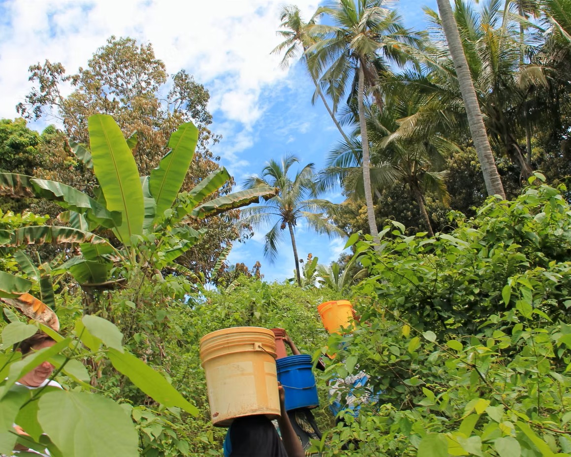 Zanzibar Tours Gallery | Pasqualino Safari Image